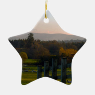 Ornement Étoile En Céramique L'Irlande est belle