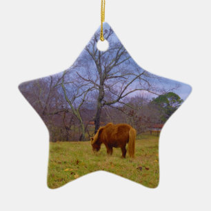 Ornement Étoile En Céramique Miniature brun cheval bleu ciel