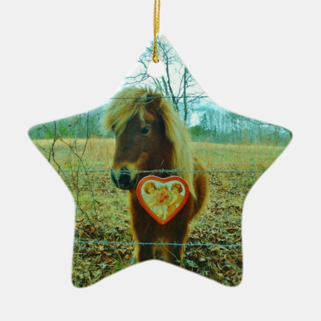 Ornement Étoile En Céramique Miniature cheval Brown Valentine Heart (Devant)