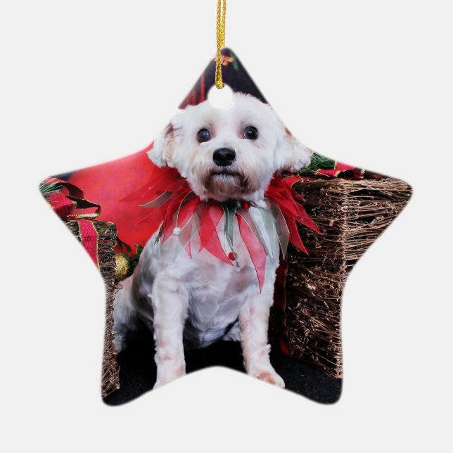 Ornement Étoile En Céramique Noël - Schnoodle - Zoey (Devant)