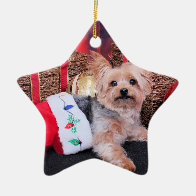 Ornement Étoile En Céramique Noël - Yorkshire Terrier - Vinnie (Devant)