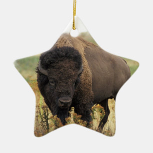 Ornement Étoile En Céramique Ornement en bois de bison