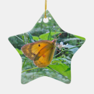 Ornement Étoile En Céramique Papillon Sulpher
