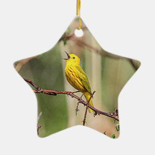 Ornement Étoile En Céramique Paruline jaune chantant