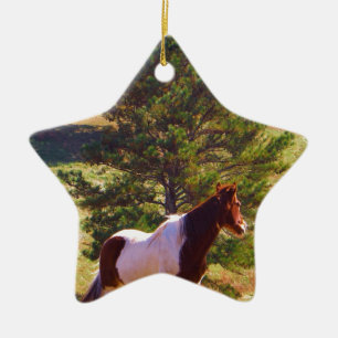Ornement Étoile En Céramique Peint Poney par le pin