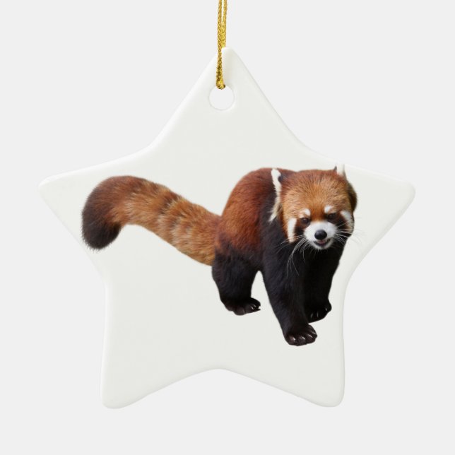 Ornement Étoile En Céramique "Red Panda"の 優 製 (Devant)