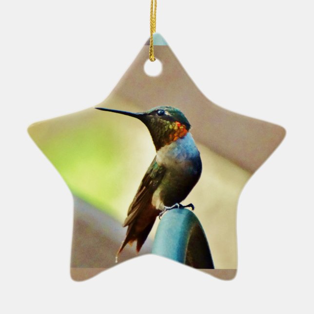 Ornement Étoile En Céramique Ruby perché et petit colibri vert (Devant)