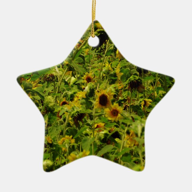 Ornement Étoile En Céramique Terrain de tournesol (Devant)
