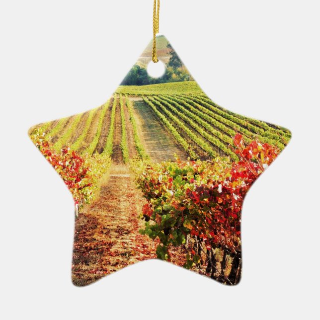 ORNEMENT ÉTOILE EN CÉRAMIQUE VINEYARDS.JPG (Devant)