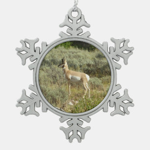 Ornement Flocon De Neige Antilocapre dans le parc national de Grand Teton