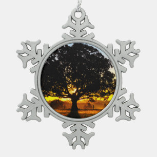 Ornement Flocon De Neige Arbre pendant le matin