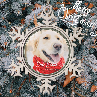 Ornement Flocon De Neige Cadres modernes Pet Memorial Photo simple