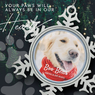 Ornement Flocon De Neige Cadres modernes Pet Memorial Photo simple