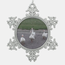 Canard