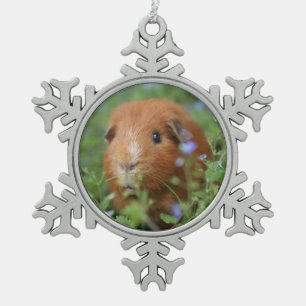 Ornement Flocon De Neige Cavies mignons de cavy d'animal familier