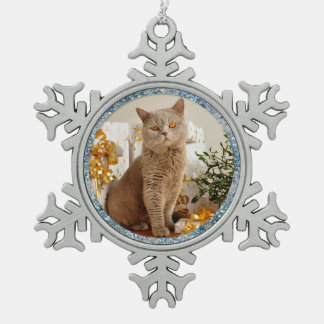 Ornement Flocon De Neige Chat de frontière d'étincelle et ornement bleus de
