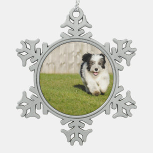 Ornement Flocon De Neige Chien de berger mignon de queue écourtée