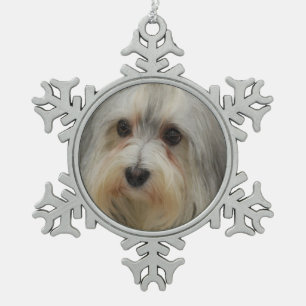 Ornement Flocon De Neige Chien de Havanese