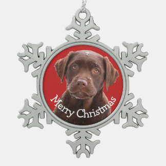 Ornement Flocon De Neige Chocolat Lab Chien Chien Chien Chien Chien Chien C