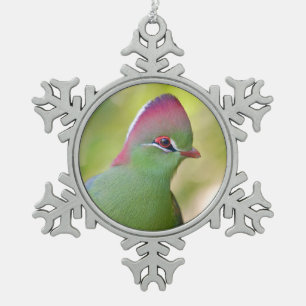 Ornement Flocon De Neige Closeup turaco de fischer