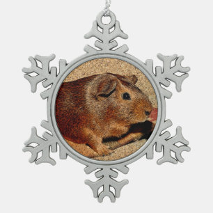 Ornement Flocon De Neige Cobaye de regard de Corkboard