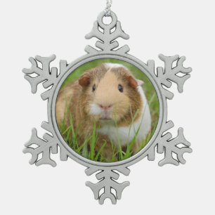 Ornement Flocon De Neige Cobaye domestique mignon