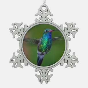 Ornement Flocon De Neige Colibri de flottement
