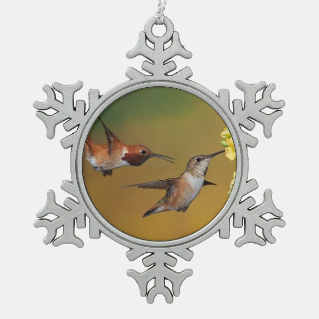 Ornement Flocon De Neige Colibri Rufous de flottement (Devant)