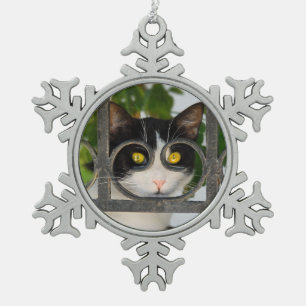 Ornement Flocon De Neige Curieux Chat avec Spectacles Cadre Amusant Animaux