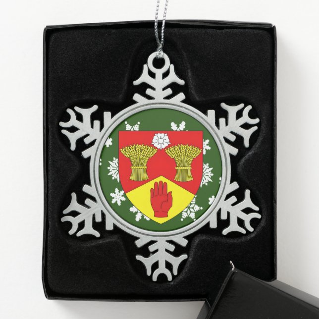 Ornement Flocon De Neige Derry Ireland Crest (Boîte)