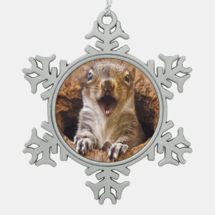 Ornement Flocon De Neige Écureuil choqué