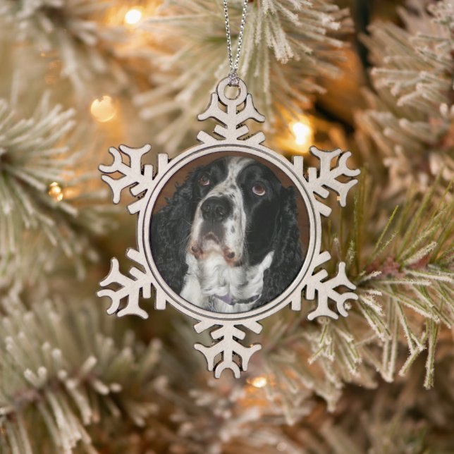 Ornement Flocon De Neige English Springer Spaniel Pet Photo (Arbre)