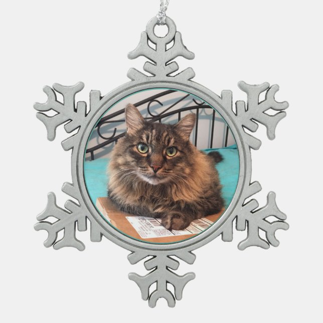 Ornement Flocon De Neige Fluffy Chat Ornament (Devant)