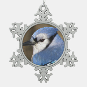 Ornement Flocon De Neige Geai bleu - oiseau