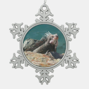 Ornement Flocon De Neige Iguana à St Thomas