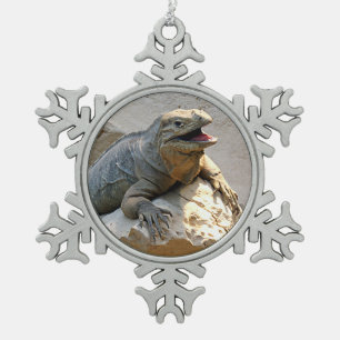 Ornement Flocon De Neige Iguane de rhinocéros
