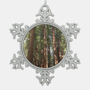 Ornement Flocon De Neige Jusqu'aux séquoias II à Muir Woods National Monume