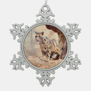 Ornement Flocon De Neige léopard nébuleux image nature faune exotique