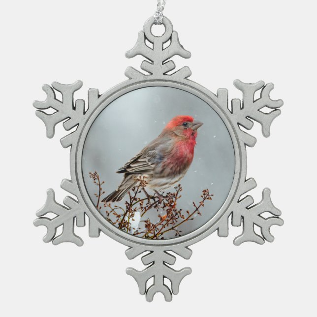Ornement Flocon De Neige Maison Finch en Neige - Photo originale (Devant)
