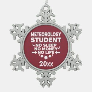 Ornement Flocon De Neige Météorologie Étudiant Pas Sommeil Argent Cardinal