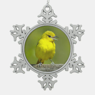 Ornement Flocon De Neige Orchard Oriole - Photo originale
