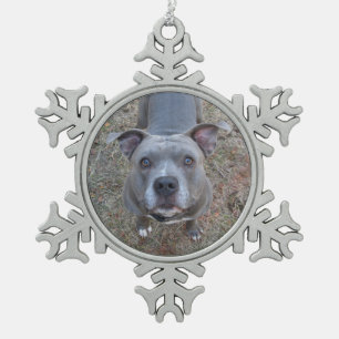 Ornement Flocon De Neige Orgueil de Noël pitbull
