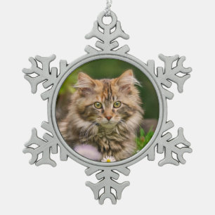 Ornement Flocon De Neige Photo mignonne de portrait de chat de chaton de