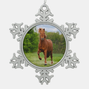 Ornement Flocon De Neige Pony islandais à Tölt Funny Photo Les amateurs de 