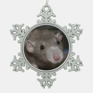 Ornement Flocon De Neige Rat curieux