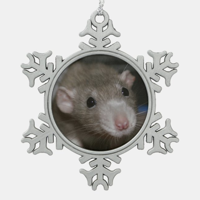 Ornement Flocon De Neige Rat curieux (Devant)