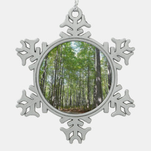 Ornement Flocon De Neige Sentier boisé du centenaire II Ellicott City Maryl
