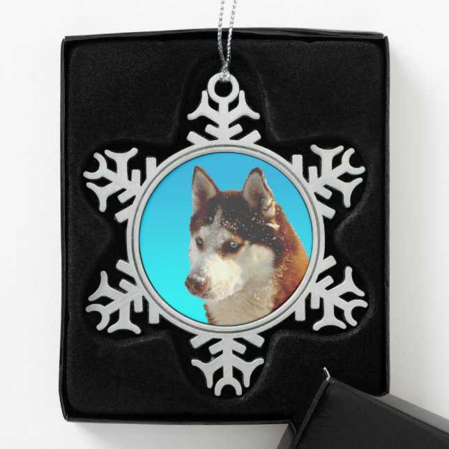 Ornement Flocon De Neige Siberian Husky red Huskykopf (Boîte)