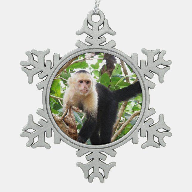 Ornement Flocon De Neige Singe en le Costa Rica (Devant)