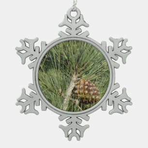 Ornement Flocon De Neige Torrey Pine Closeup California Botanical